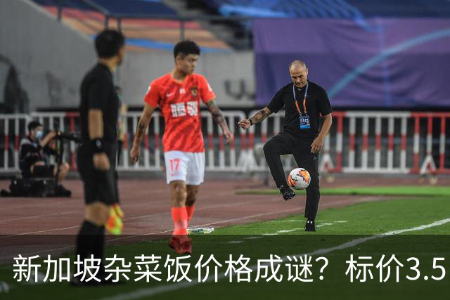 新加坡杂菜饭价格成谜？标价3.5，结账却收6.7新元，网友直呼“太疯狂”